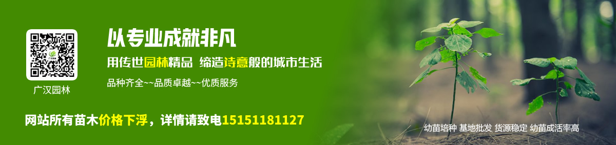 廣漢園林苗木